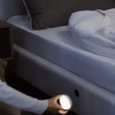 ZapNex® Motion Sensor Lights