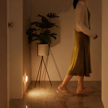 ZapNex® Motion Sensor Lights
